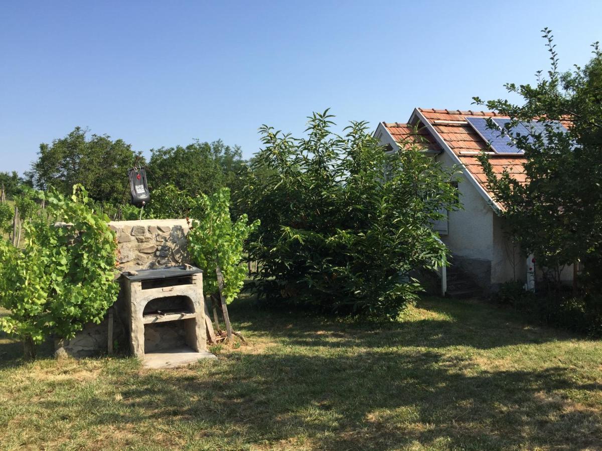 Csobanc Szerelem-Nemzeti Park-Oenallo Haz - Klimatizalt Gyulakeszi المظهر الخارجي الصورة